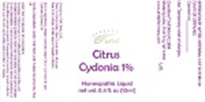Citrus Cydonia 1 (Citrus Cydonia 1)